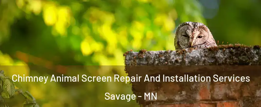  Chimney Animal Screen Repair And Installation Services Savage - MN