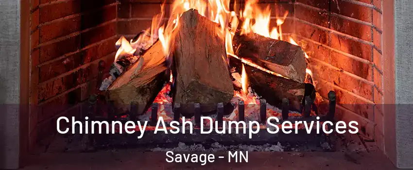  Chimney Ash Dump Services Savage - MN