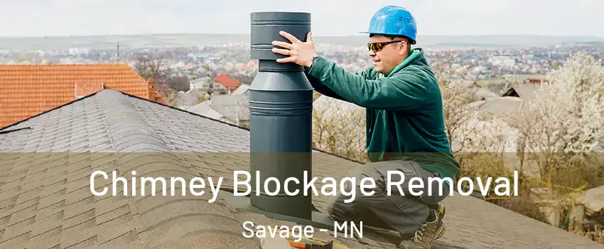  Chimney Blockage Removal Savage - MN