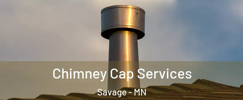  Chimney Cap Services Savage - MN