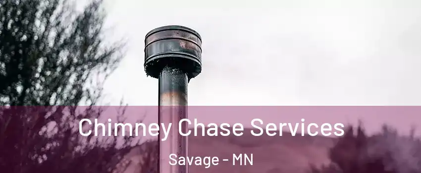  Chimney Chase Services Savage - MN