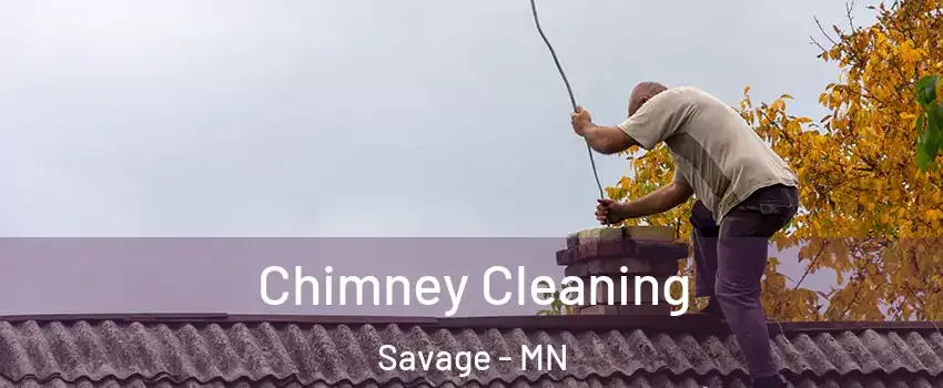  Chimney Cleaning Savage - MN