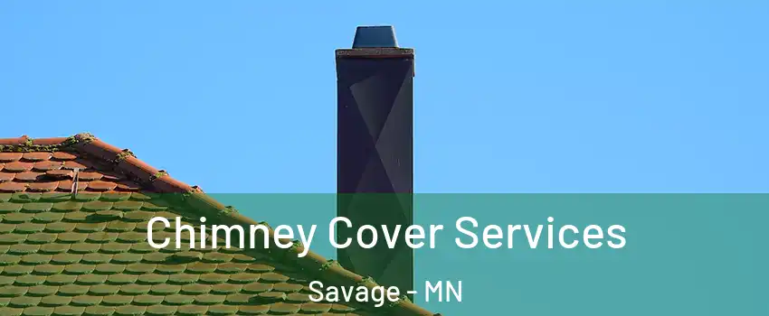  Chimney Cover Services Savage - MN