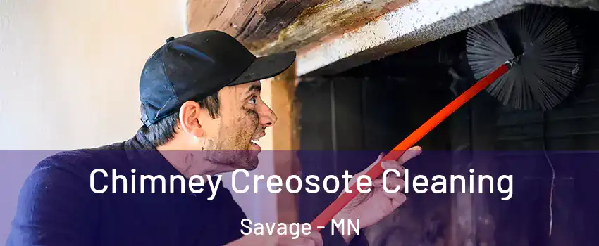  Chimney Creosote Cleaning Savage - MN