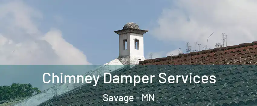  Chimney Damper Services Savage - MN