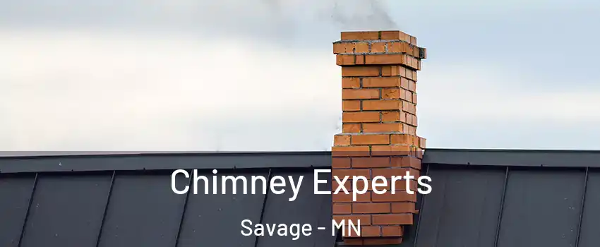 Chimney Experts Savage - MN