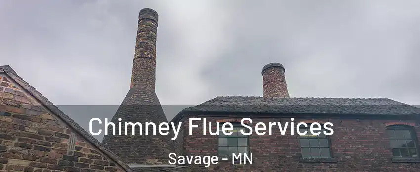  Chimney Flue Services Savage - MN