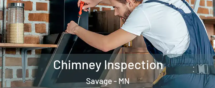  Chimney Inspection Savage - MN
