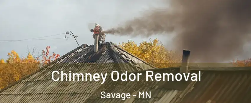  Chimney Odor Removal Savage - MN