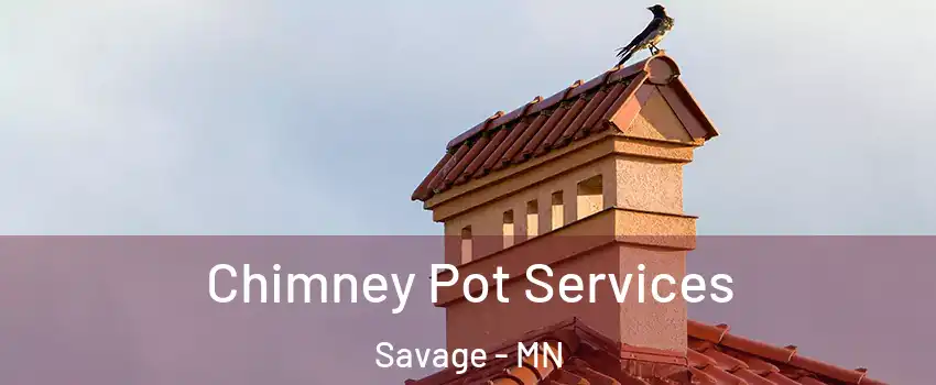  Chimney Pot Services Savage - MN