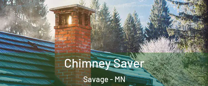  Chimney Saver Savage - MN