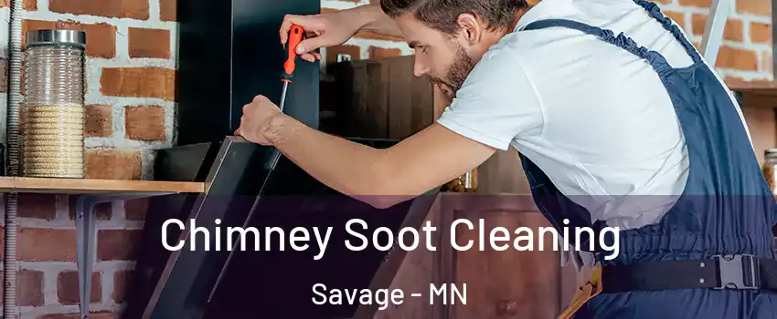  Chimney Soot Cleaning Savage - MN