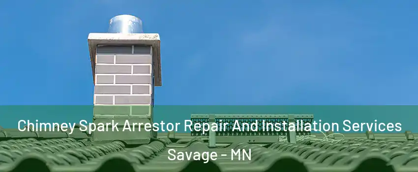  Chimney Spark Arrestor Repair And Installation Services Savage - MN