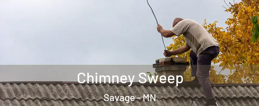  Chimney Sweep Savage - MN