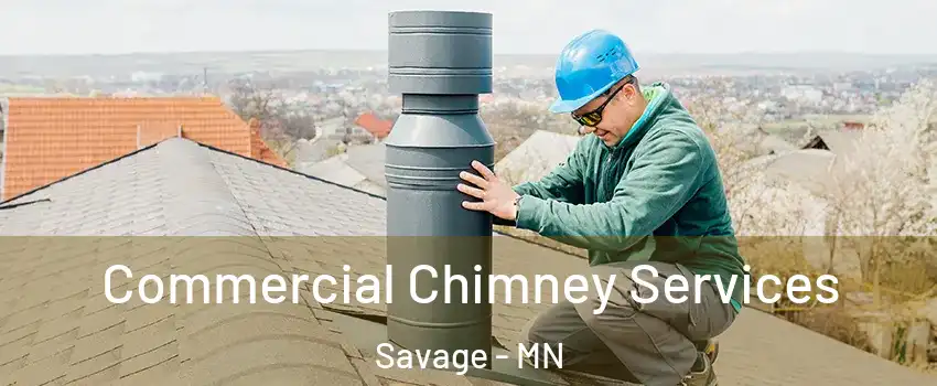  Commercial Chimney Services Savage - MN