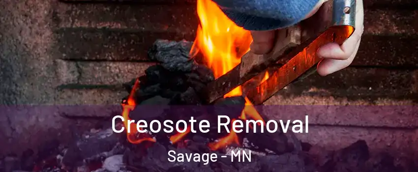  Creosote Removal Savage - MN