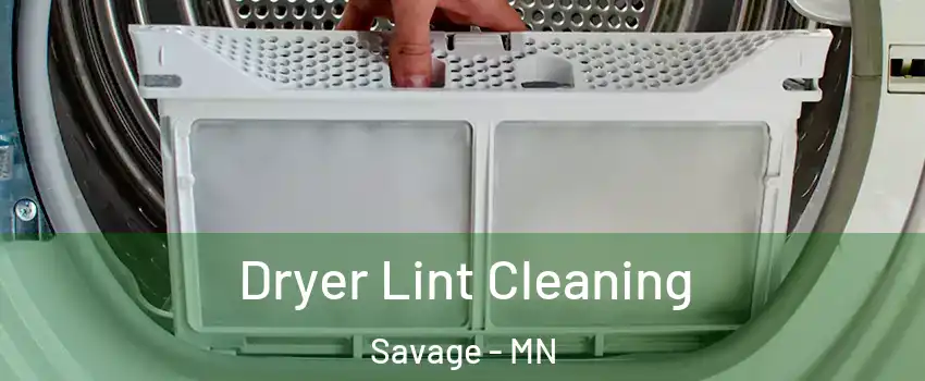  Dryer Lint Cleaning Savage - MN