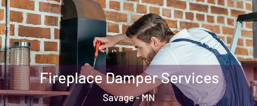  Fireplace Damper Services Savage - MN