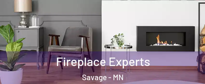  Fireplace Experts Savage - MN