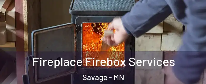  Fireplace Firebox Services Savage - MN