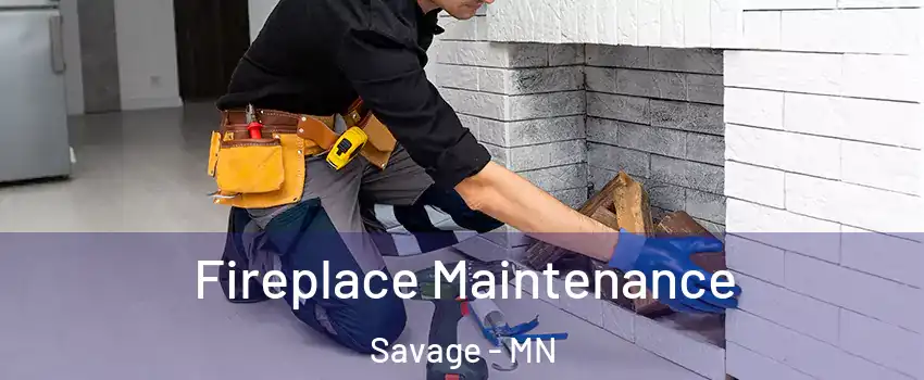  Fireplace Maintenance Savage - MN