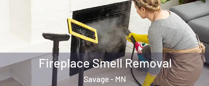  Fireplace Smell Removal Savage - MN
