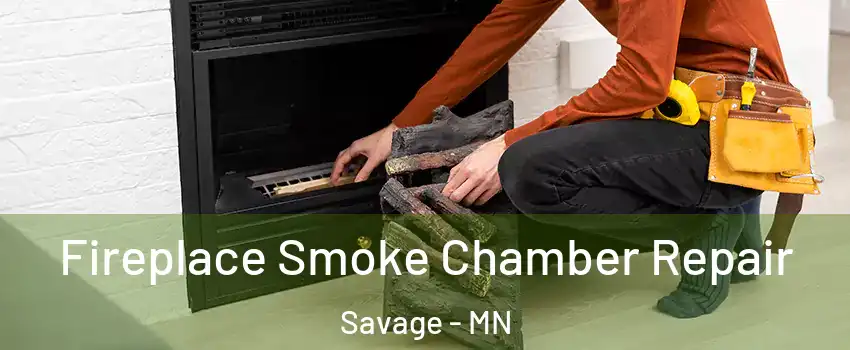  Fireplace Smoke Chamber Repair Savage - MN