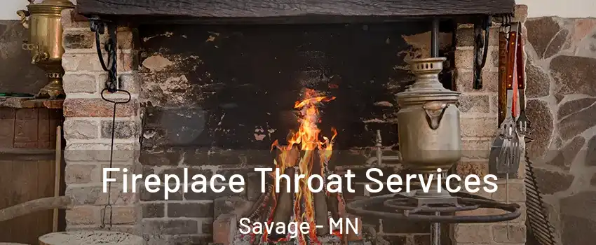  Fireplace Throat Services Savage - MN