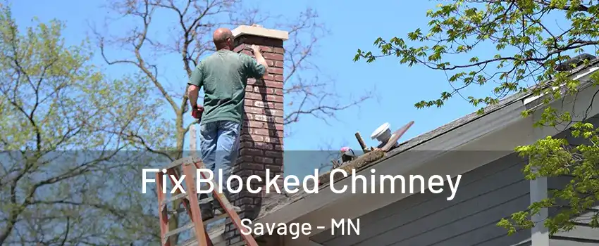  Fix Blocked Chimney Savage - MN