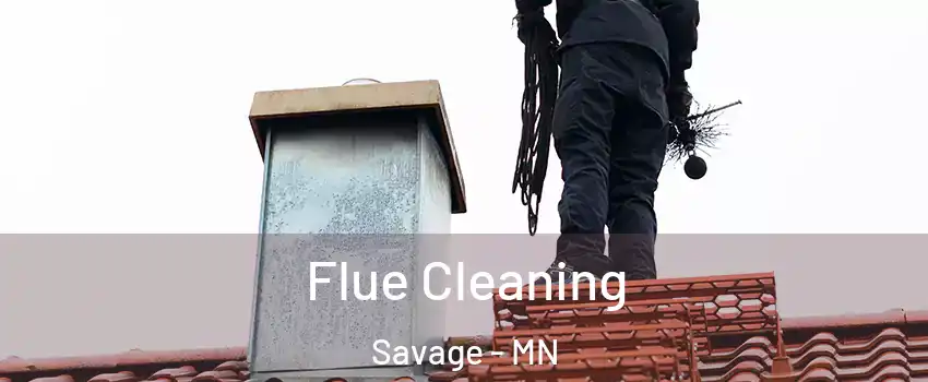  Flue Cleaning Savage - MN