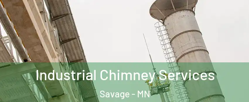  Industrial Chimney Services Savage - MN