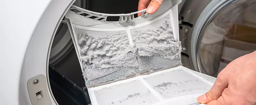 Best Dryer Lint Removal Company in Savage, Minnesota
