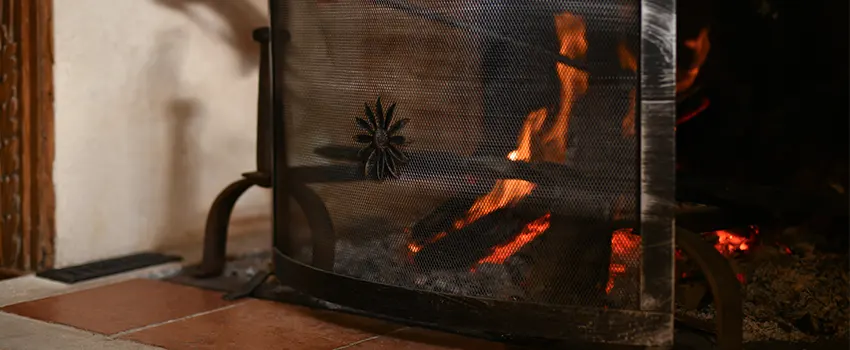 Electric Metal Fireplace installation Services in Savage, MN