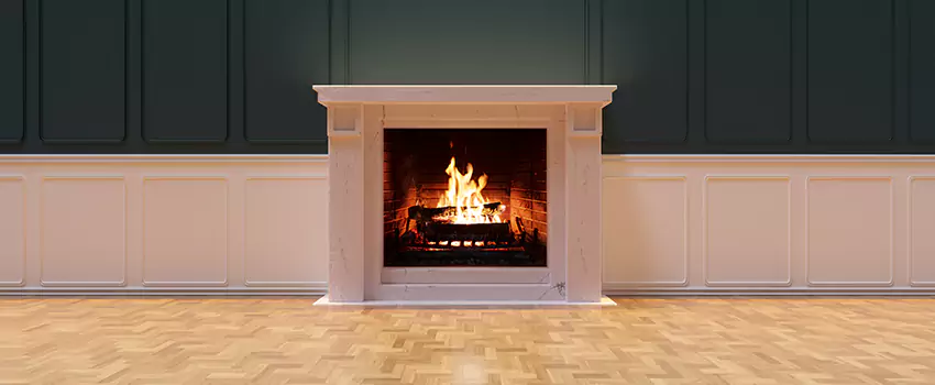 Napoleon Electric Fireplaces Inspection Service in Savage, Minnesota