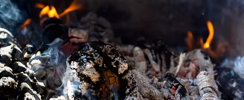 Creosote Removal Experts in Savage, MN