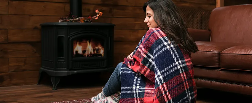 Fireplace Firebox Grate Replacement Services  in Savage, Minnesota
