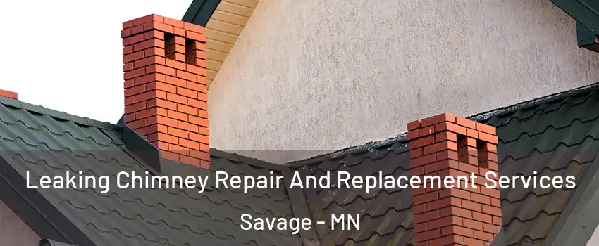  Leaking Chimney Repair And Replacement Services Savage - MN