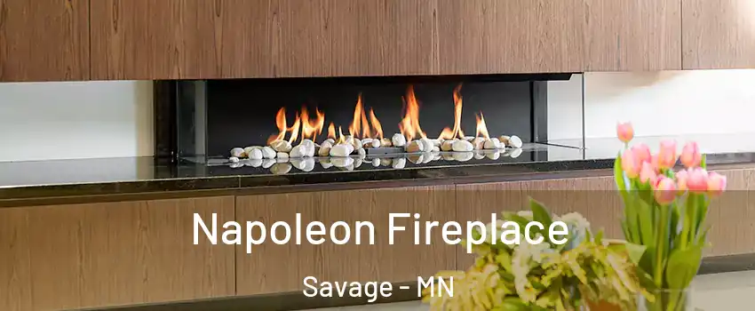  Napoleon Fireplace Savage - MN