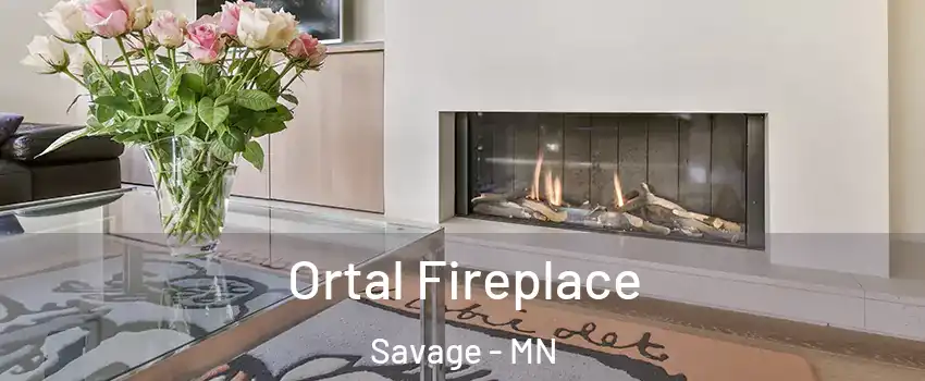 Ortal Fireplace Savage - MN
