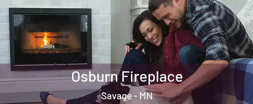  Osburn Fireplace Savage - MN