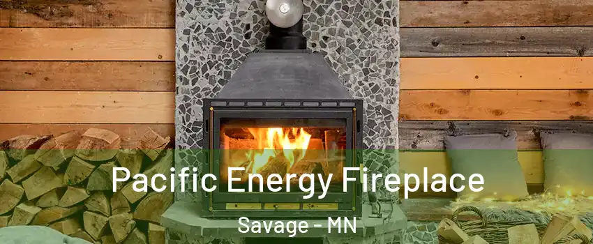  Pacific Energy Fireplace Savage - MN
