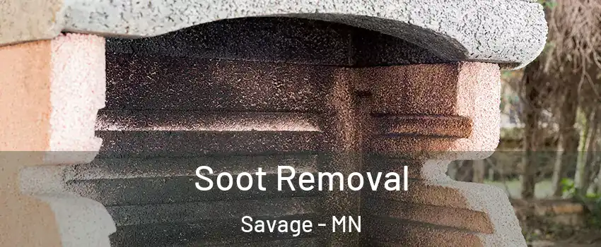  Soot Removal Savage - MN