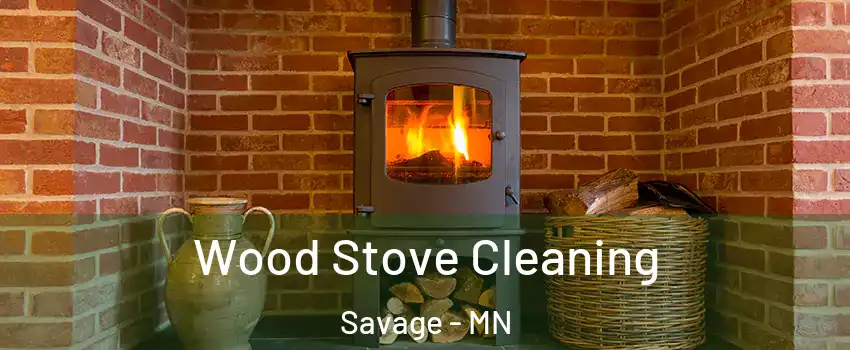  Wood Stove Cleaning Savage - MN